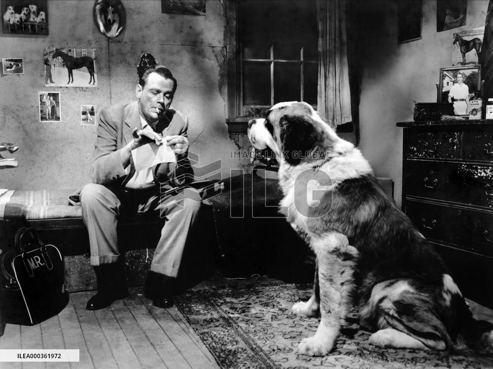 A Nice Little Bank That Should film (1958)