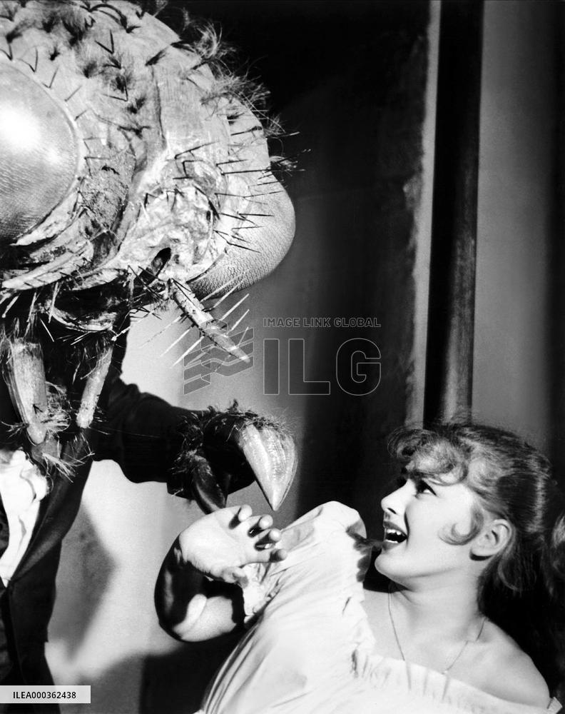 The Return Of The Fly film (1959)