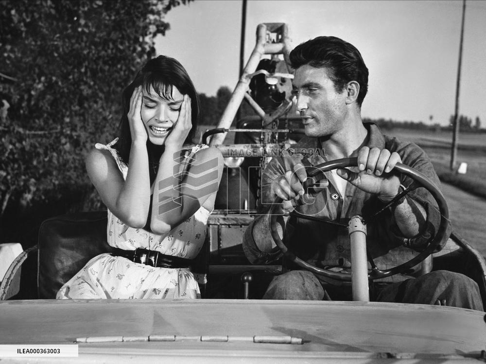 La Risaia film (1956)