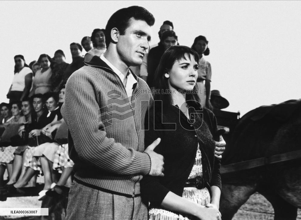 La Risaia film (1956)