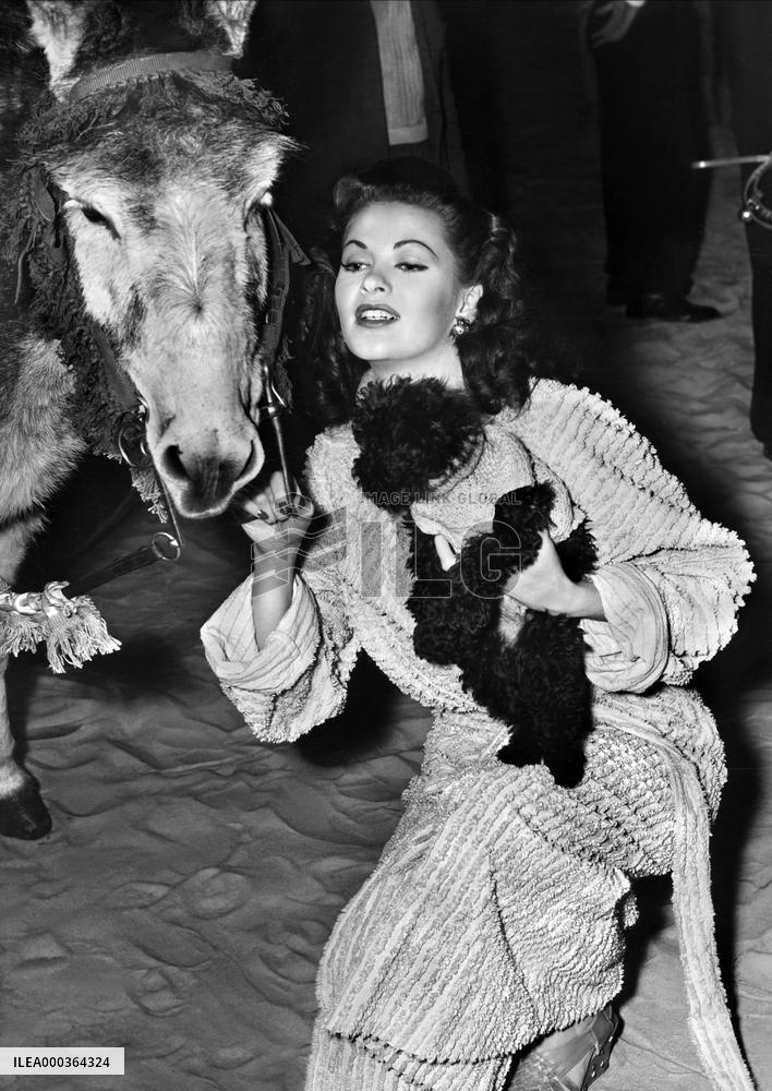 Hotel Sahara film (1951)