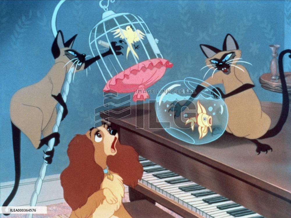 Lady And The Tramp film (1955)