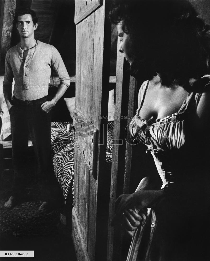 Desire Under The Elms film (1958)