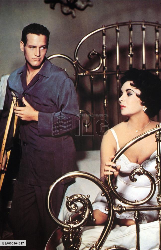 Cat On A Hot Tin Roof film (1958)