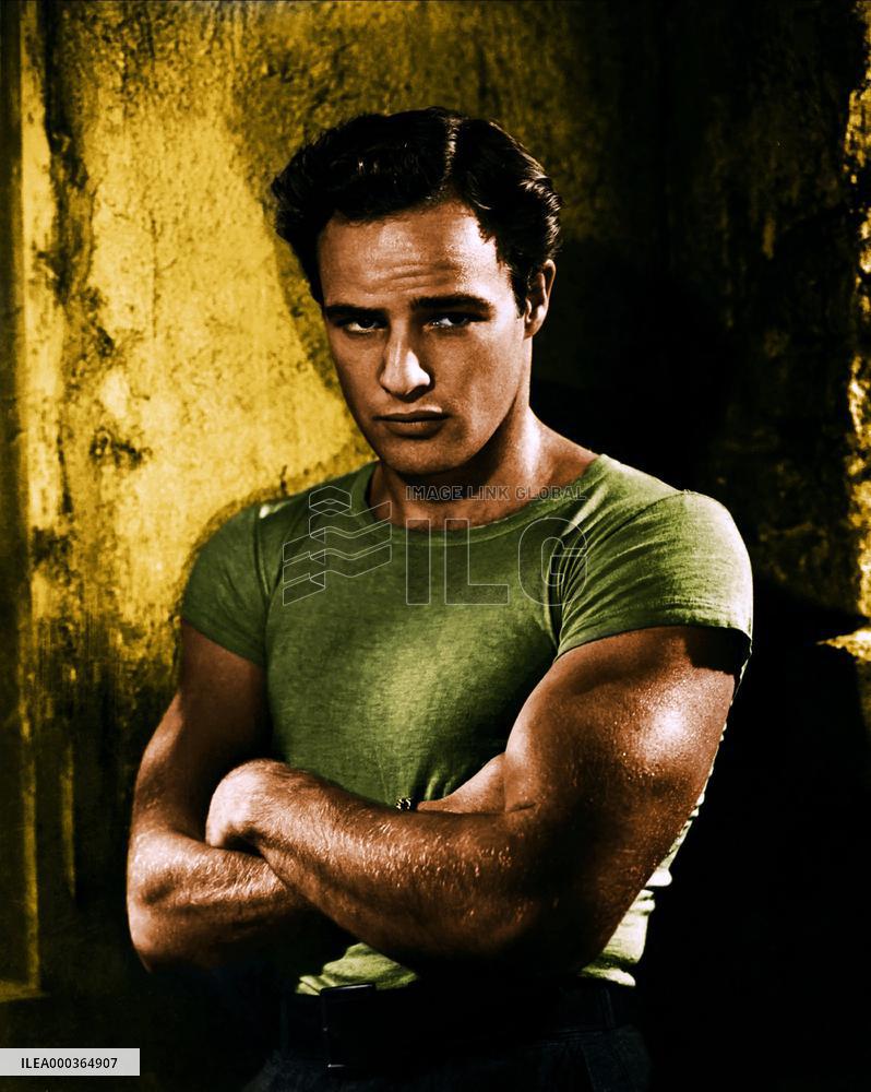 A Streetcar Named Desire film (1951)