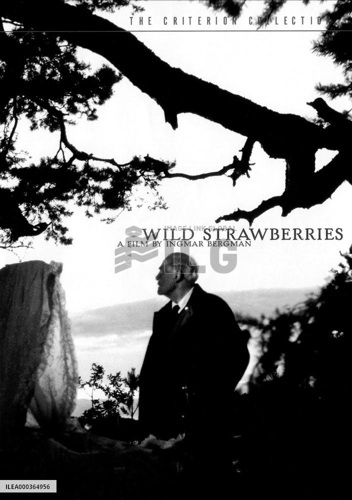 Wild Strawberries film (1957)