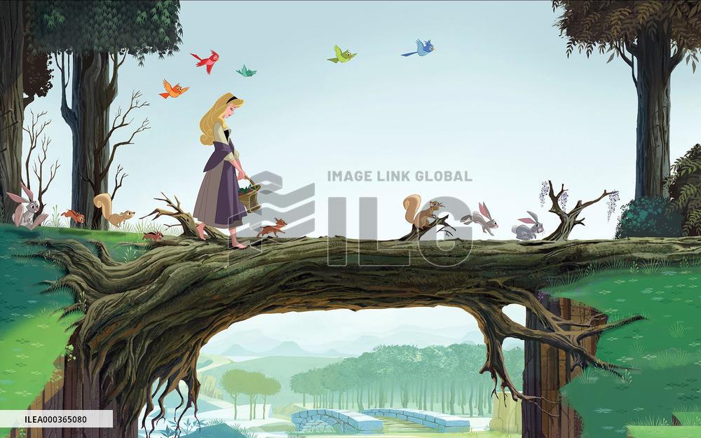 Sleeping Beauty film (1959)