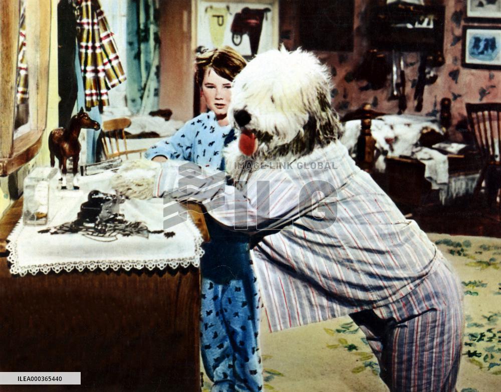 The Shaggy Dog film (1959)