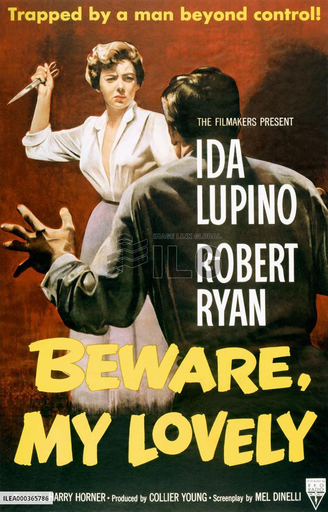 Beware, My Lovely film (1952)