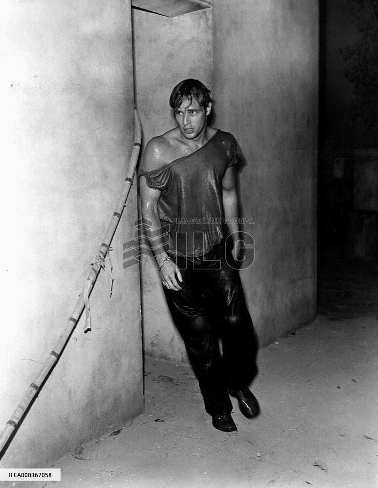 A Streetcar Named Desire film (1951)