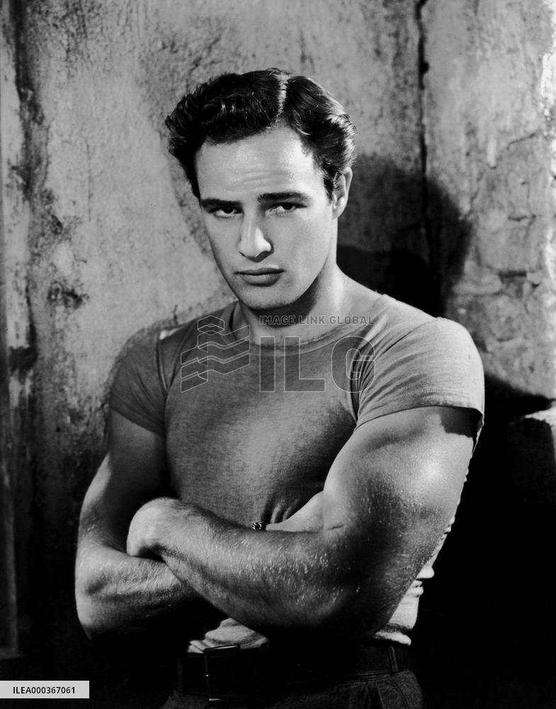 A Streetcar Named Desire film (1951)
