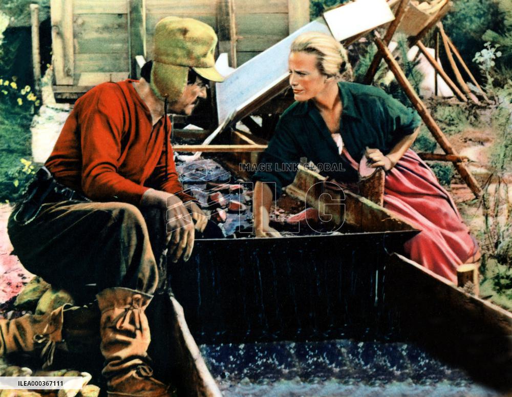 The Hanging Tree film (1959)