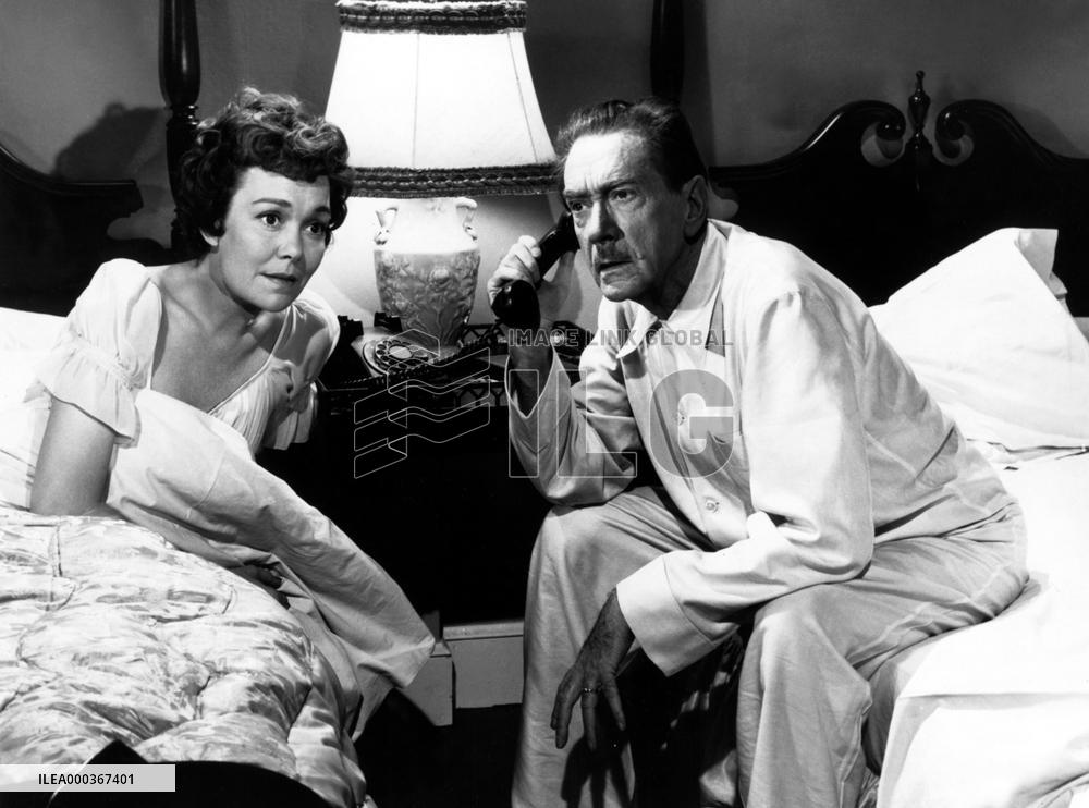 Holiday For Lovers film (1959)