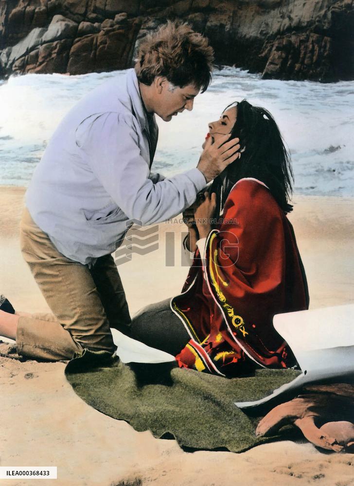 The Sandpiper - film (1965)