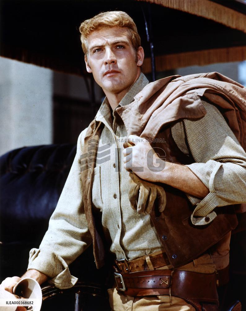 The Big Valley - film (1965)