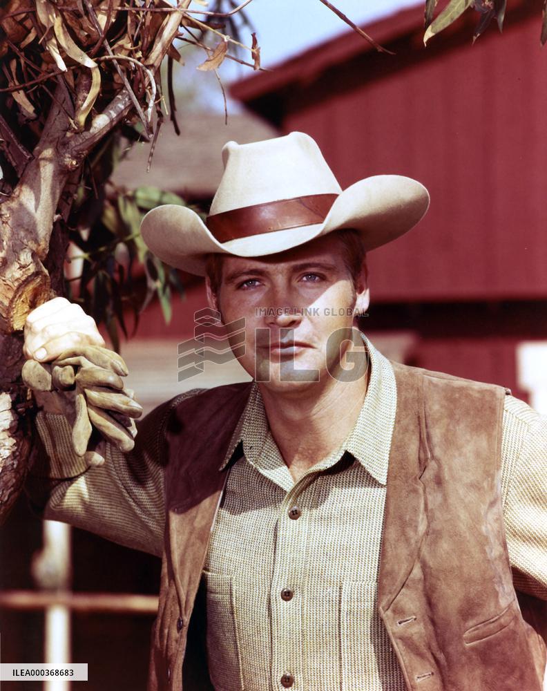 The Big Valley - film (1965)