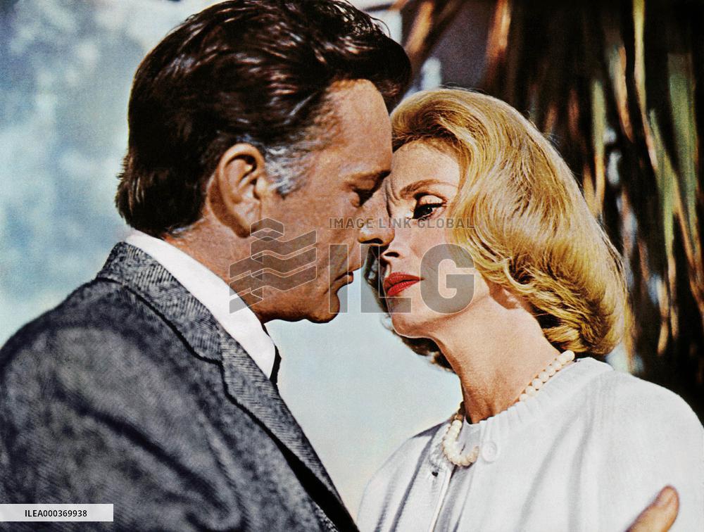 The Sandpiper - film (1965)