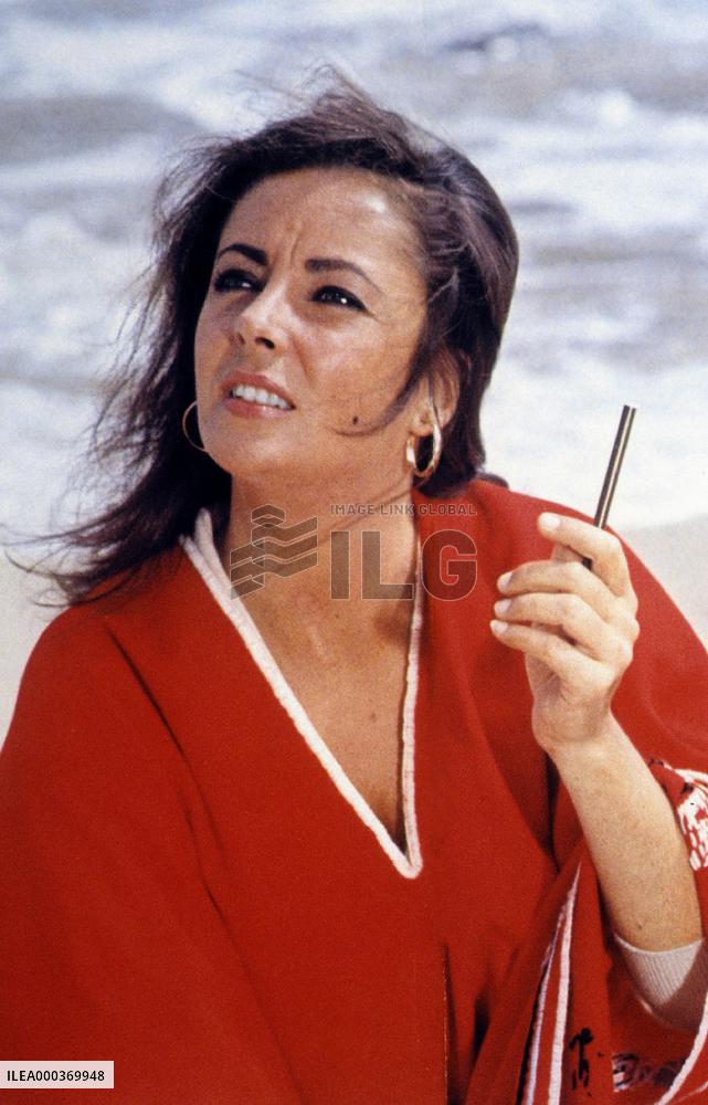 The Sandpiper - film (1965)