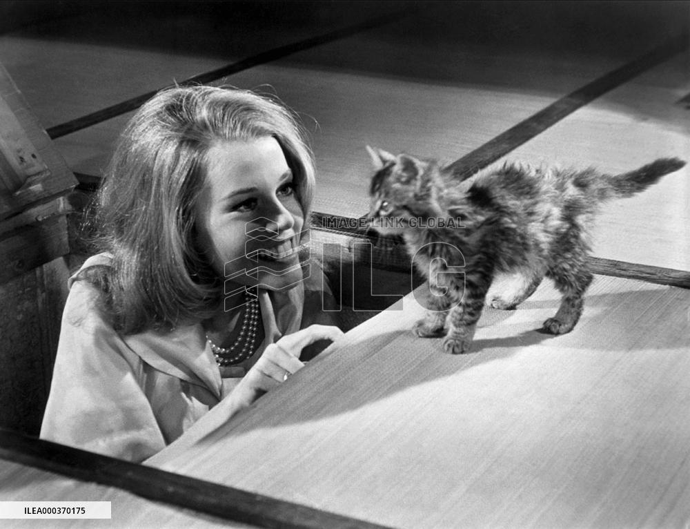 Joy House; The Love Cage - film (1964)