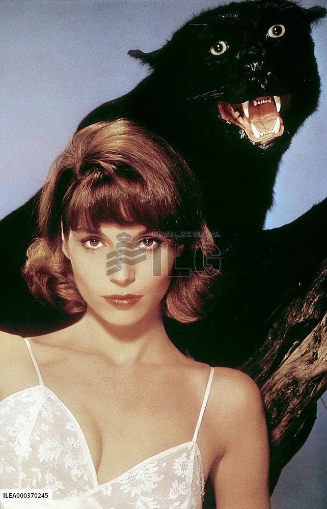 Rampage - film (1963)