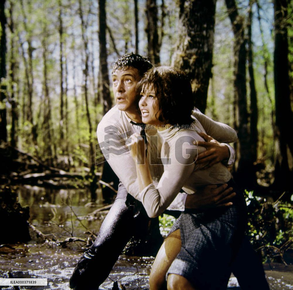 Reflections In A Golden Eye - film (1967)