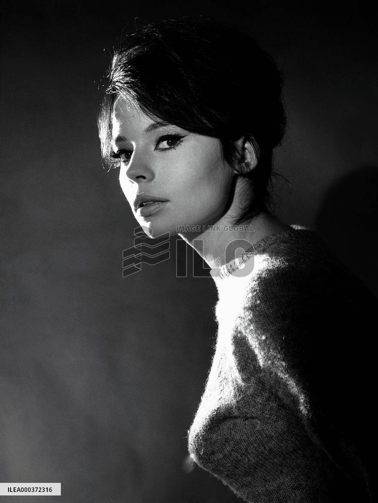 A Lover For The Summer - film (1960)