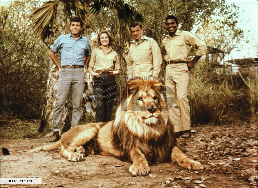 Daktari - film (1966)