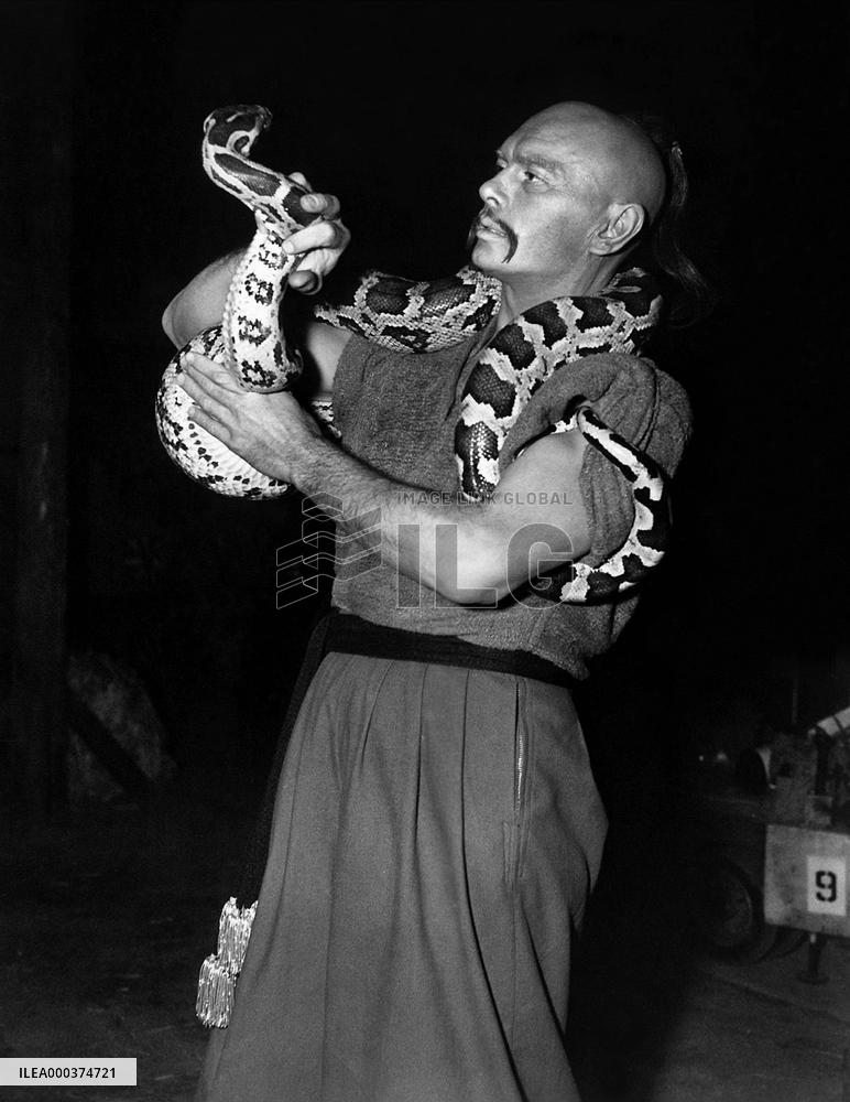Taras Bulba - film (1962)