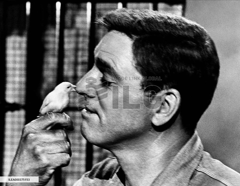 The Birdman Of Alcatraz - film (1962)