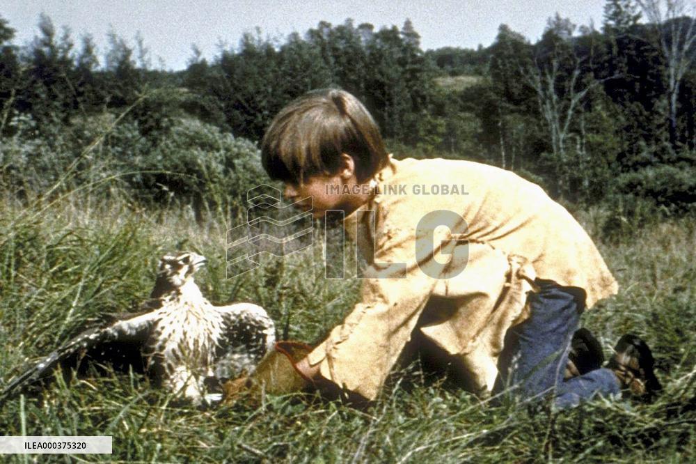 My Side Of The Mountain - film (1969)