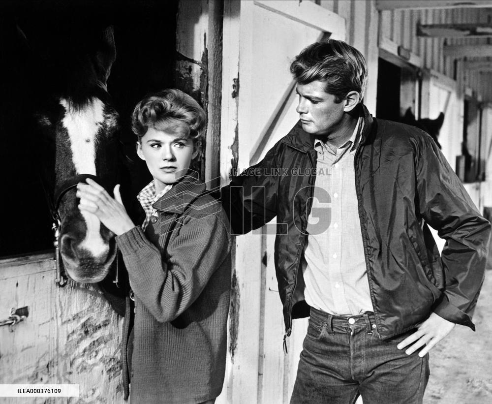 Susan Slade - film (1961)