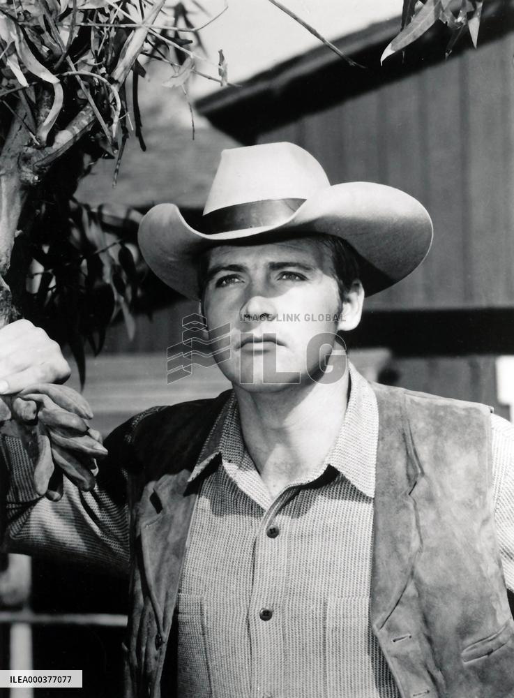 The Big Valley - film (1965)