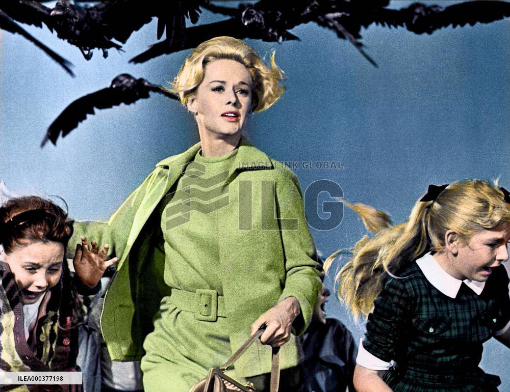 The Birds - film (1963)