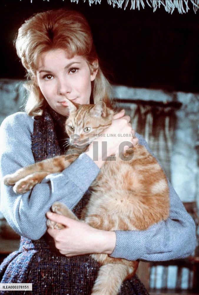 The Three Lives Of Thomasina - film (1964)