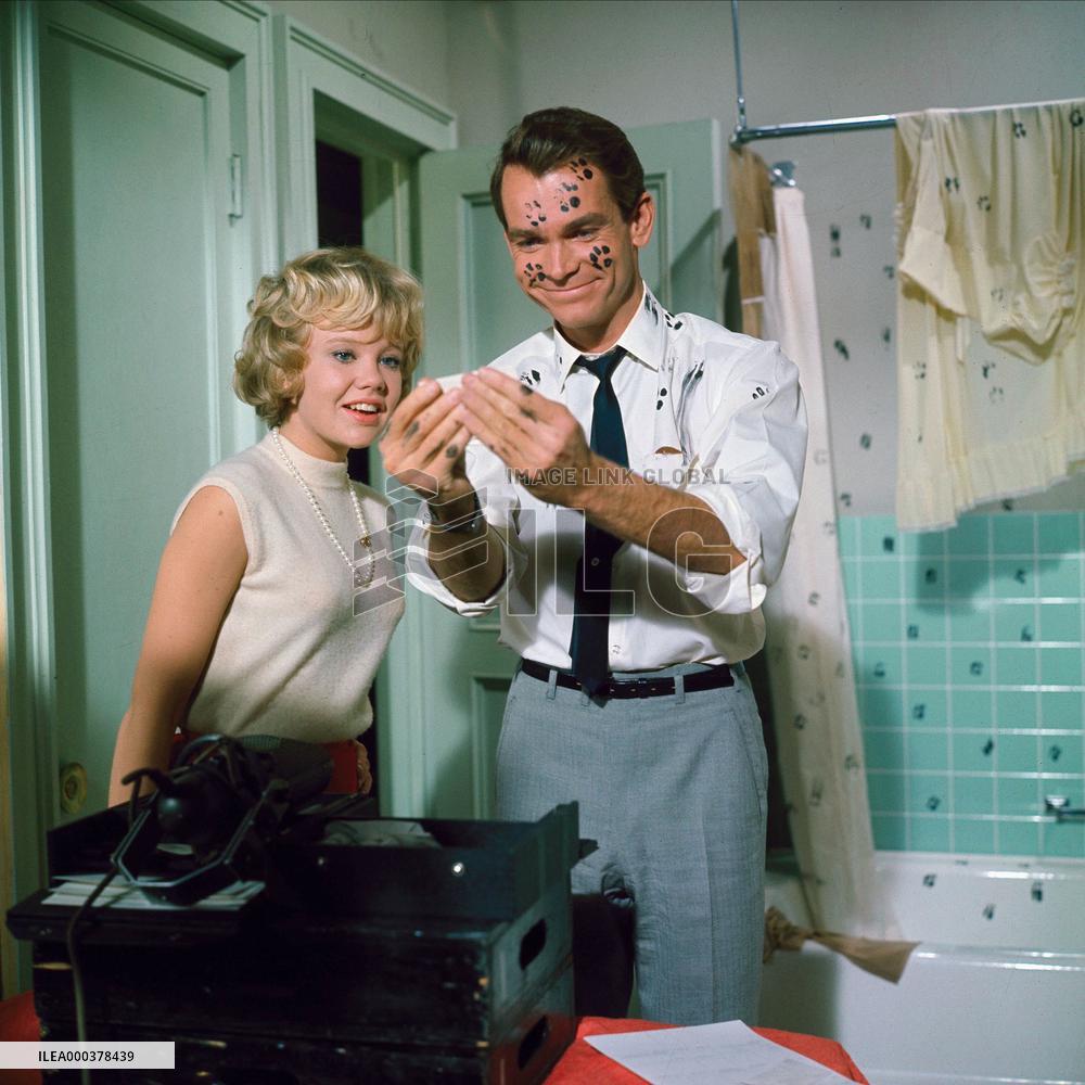 That Darn Cat! - film (1965)