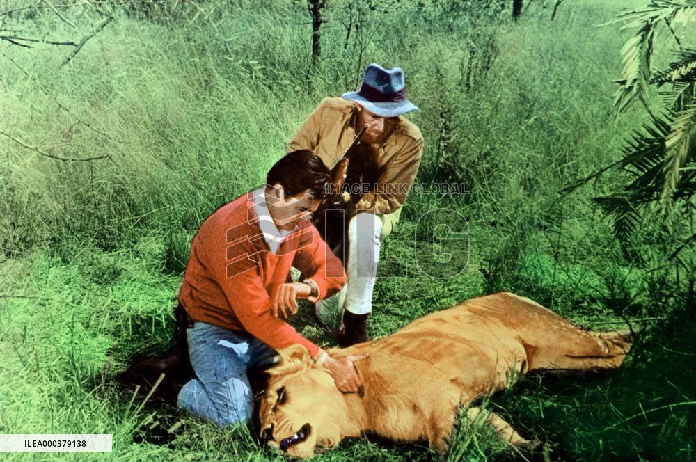 Rhino! - film (1964)