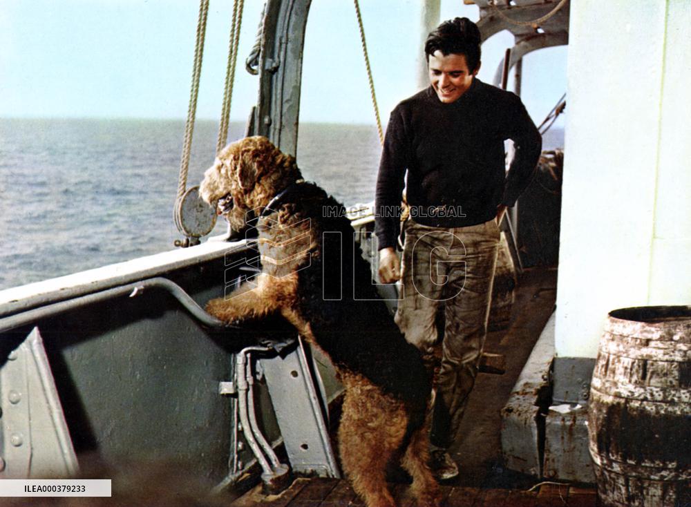 Ballad Of Hector, Stowaway Dog - film (1964)