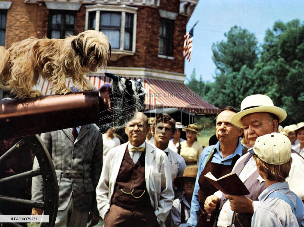 Rascal - film (1962)