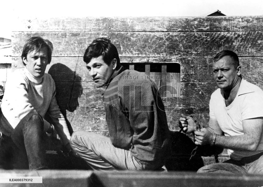 The Violent Ones - film (1967)