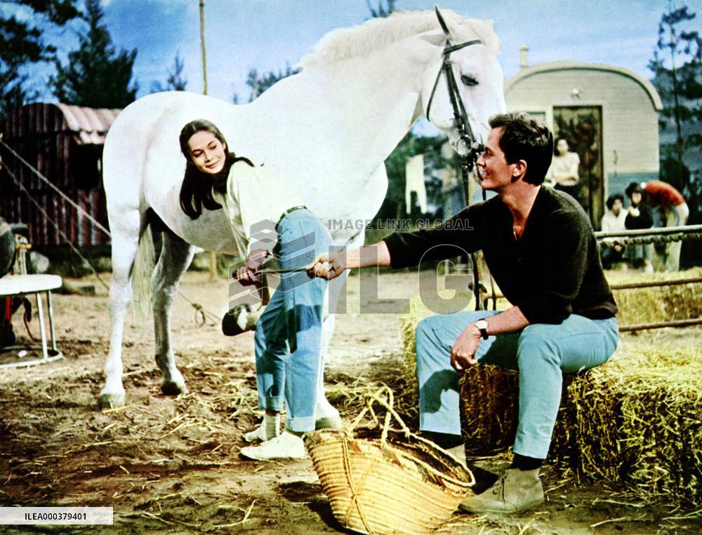 The Main Attraction - film (1962)