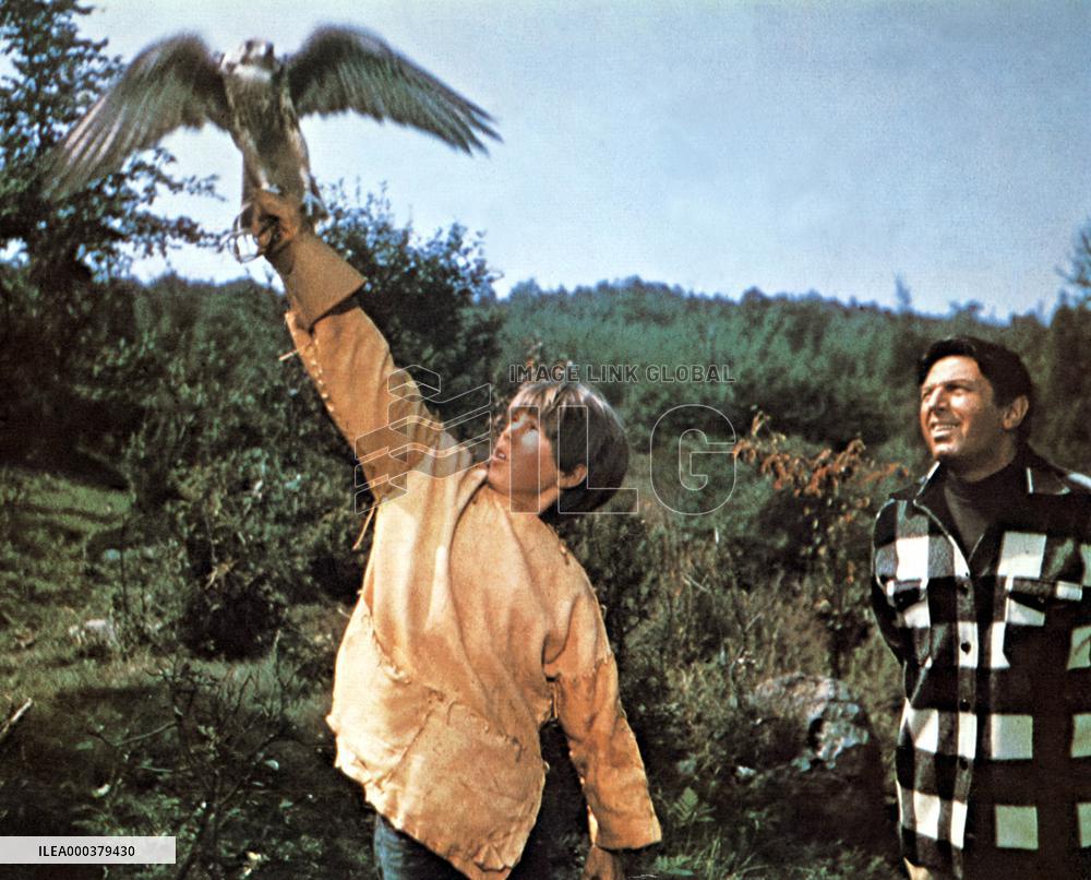 My Side Of The Mountain - film (1969)