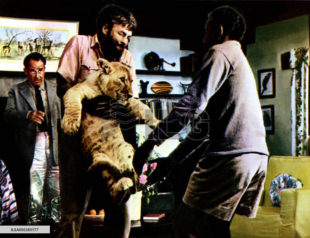 Born Free - film (1966)