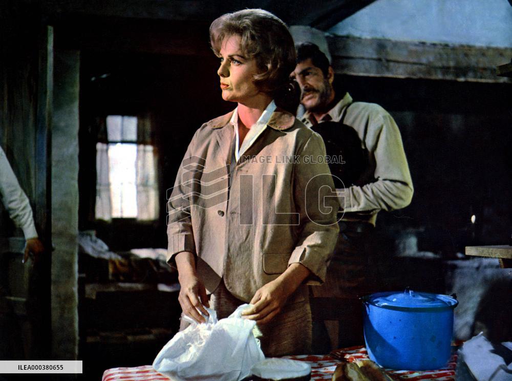 The Sons Of Katie Elder - film (1965)