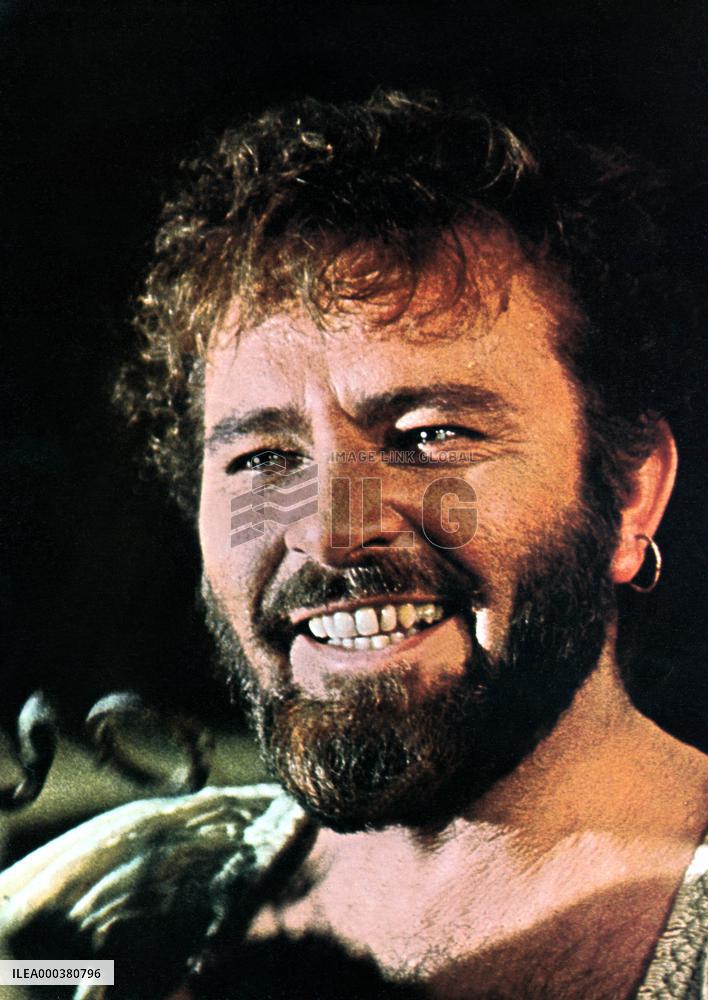 The Taming Of The Shrew - film (1967)