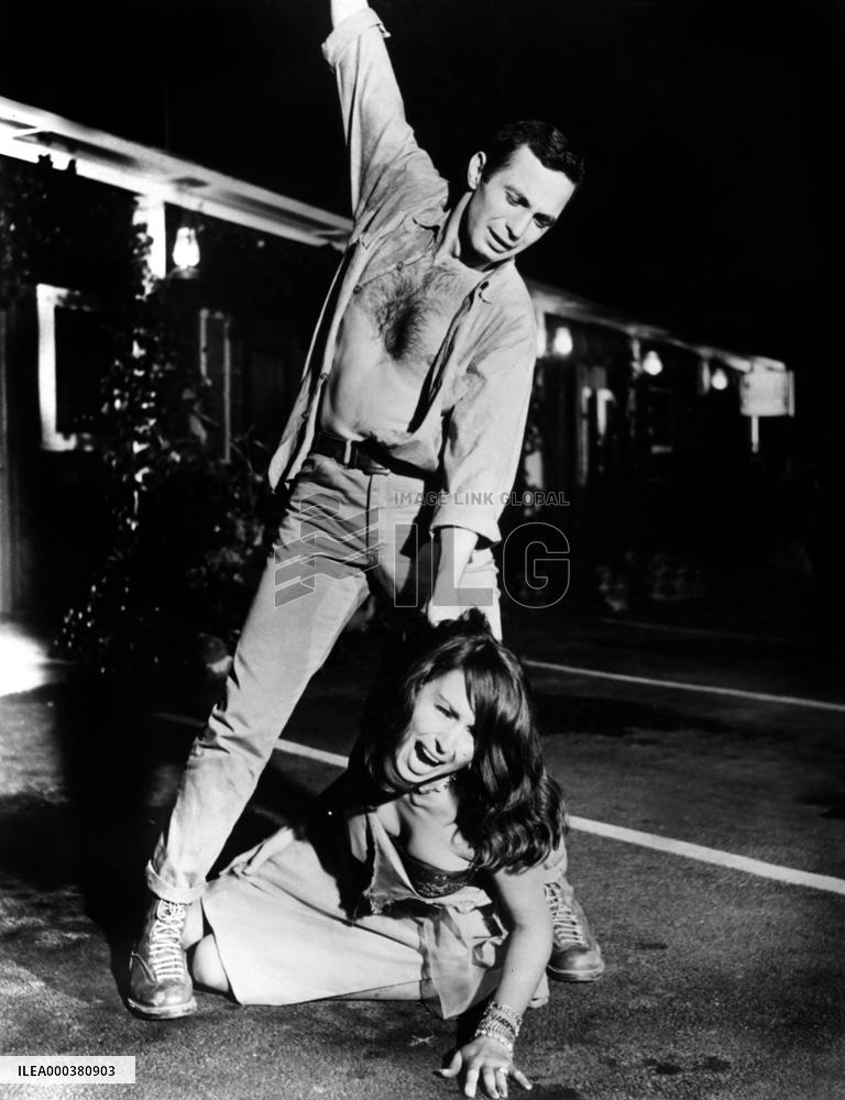 A Rage To Live - film (1965)