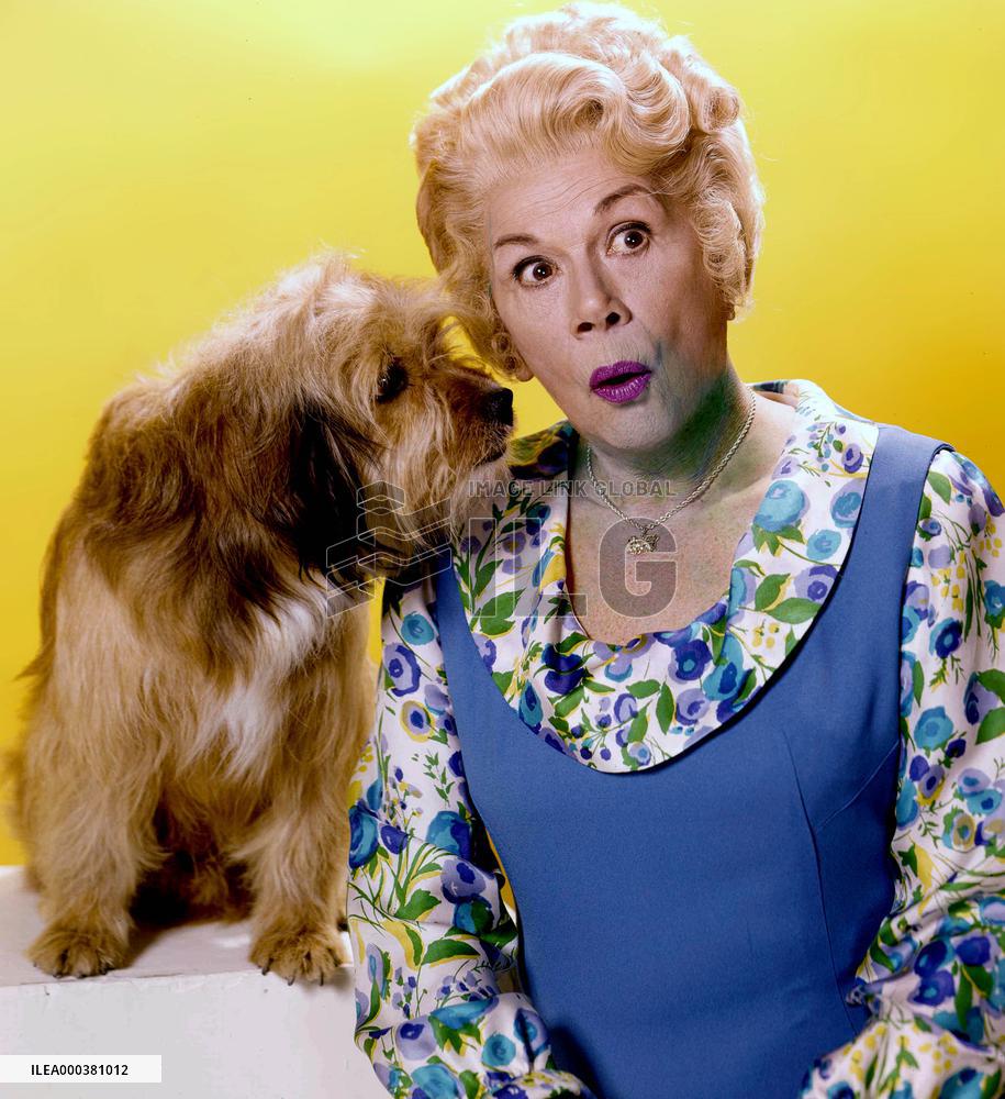 Petticoat Junction - film (1963)