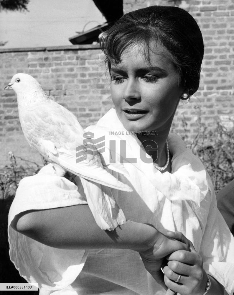 Nine Hours To Rama - film (1963)