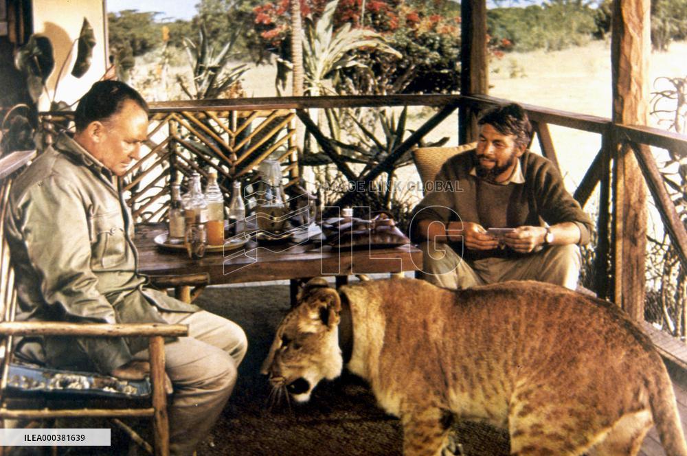Born Free - film (1966)