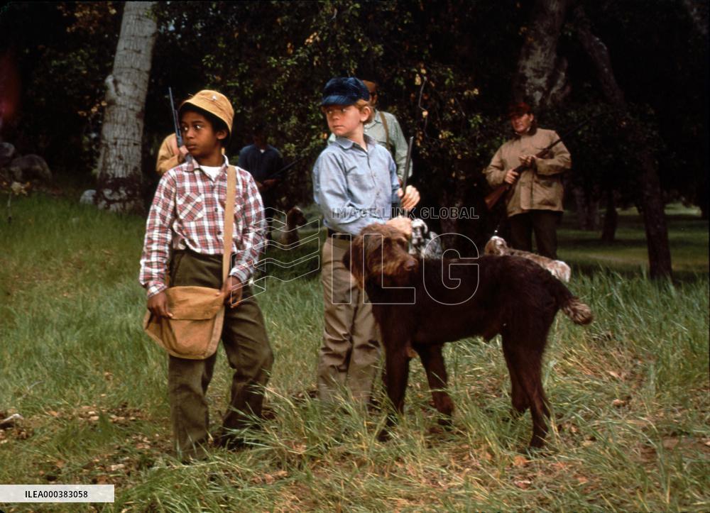 The Biscuit Eater (1972)