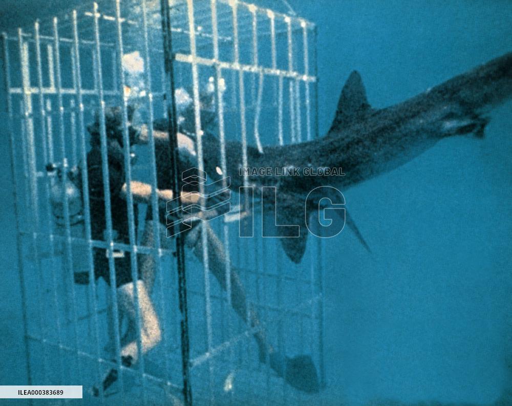 Sharks' Treasure (1975)